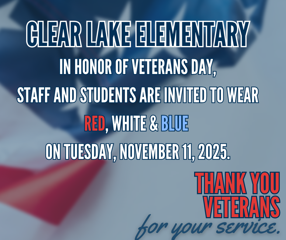 veterans day spirit day