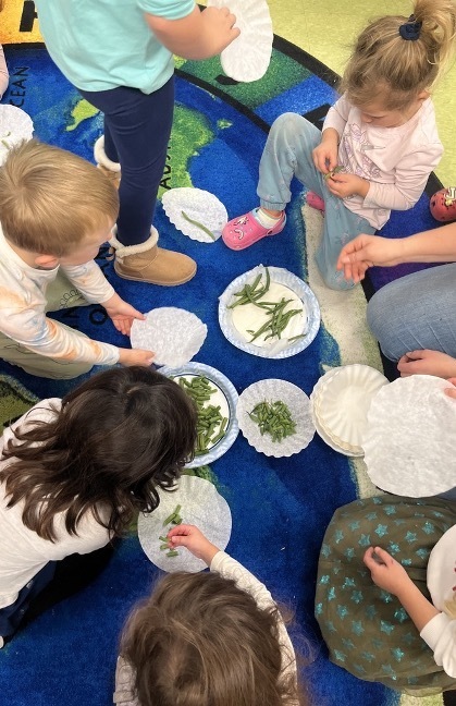 Children cutting green beans