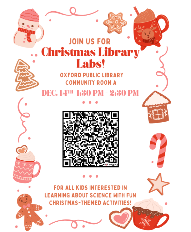 Christmas Library Labs