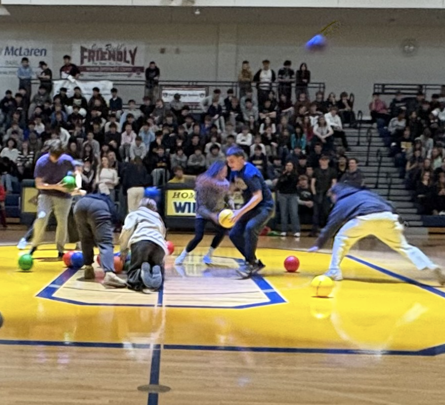 Screenshot 2026-02-13 at 12