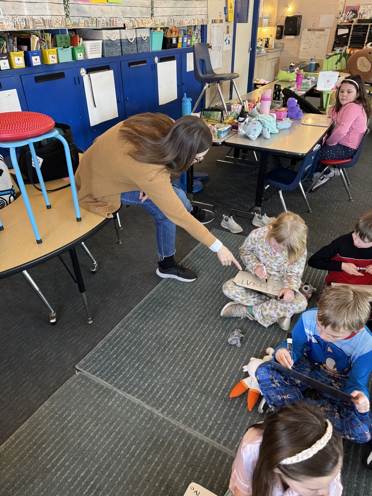 National Parapro Day