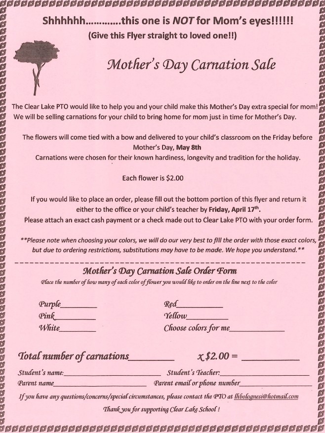 Carnations