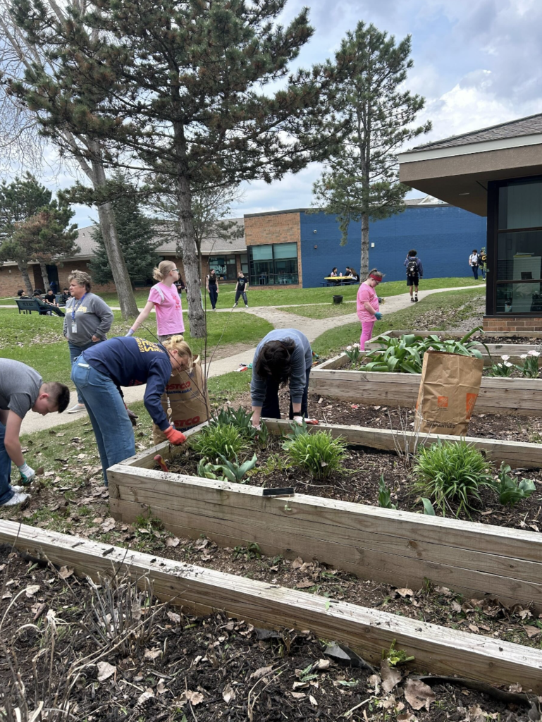 Mrs. Morris Class Garden Activity