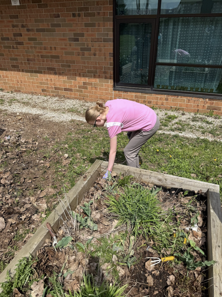Mrs. Morris Class Garden Activity
