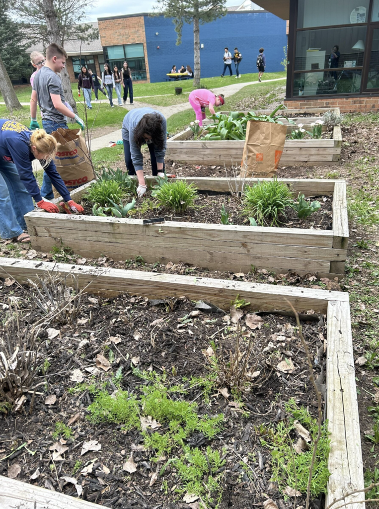 Mrs. Morris Class Garden Activity