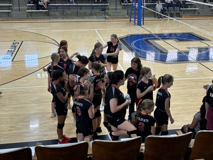 VBALL