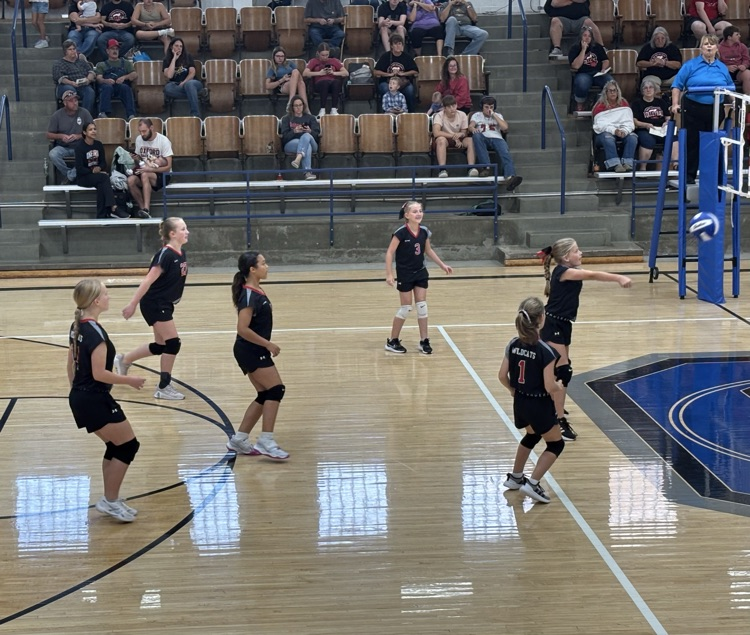 VBALL