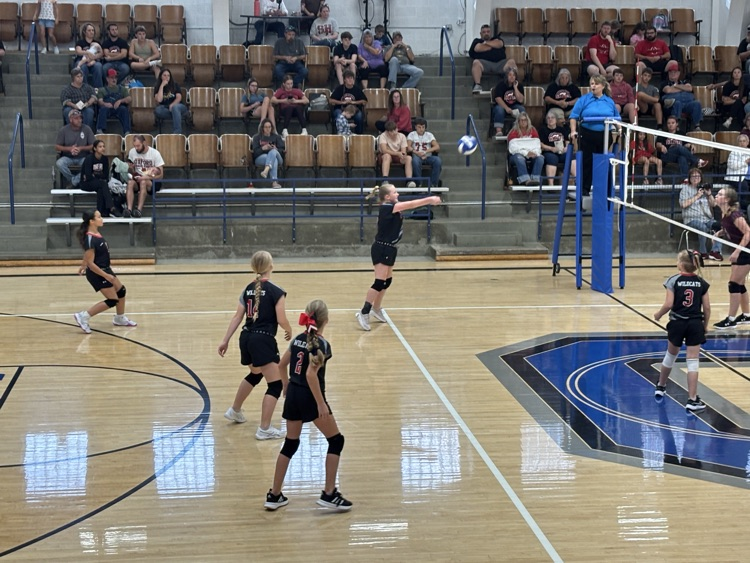 VBALL