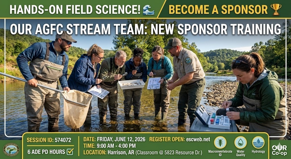 stream team