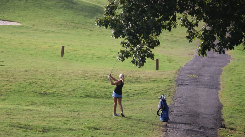 Person in a black top and blue shorts swings a golf club on a green lawn with a tree overhead.