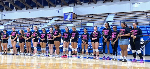 Group of women in matching black shirts with pink accents stand in line on a basketball court.
