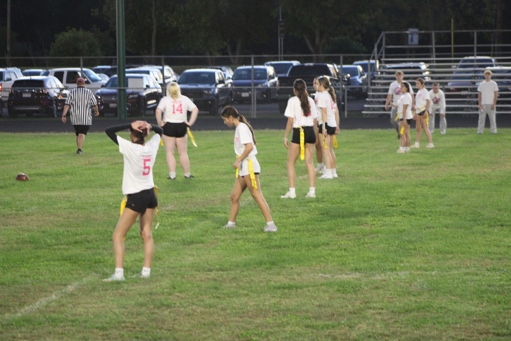 Powderpuff