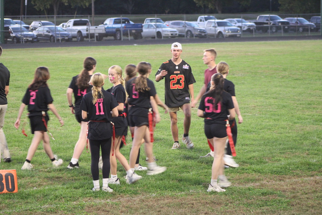 Powderpuff