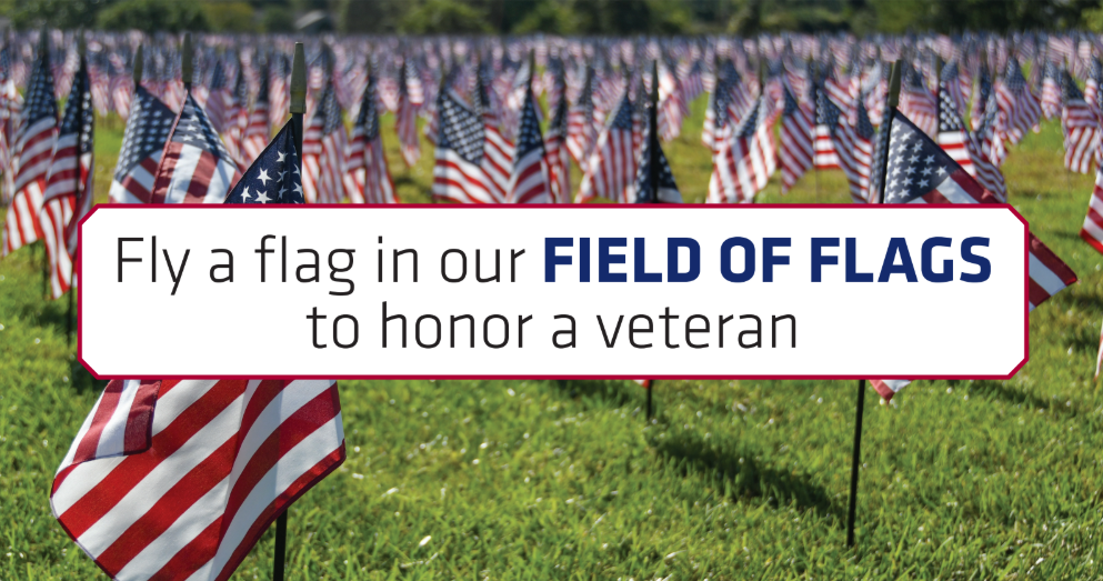 Field of Flags