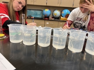 Osmosis