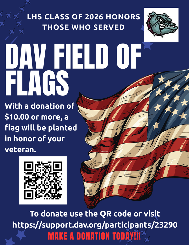 Field of Flags