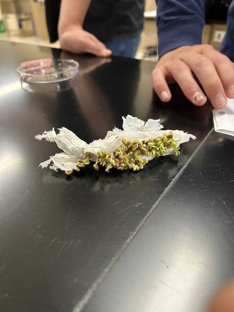 Acid Rain Lab