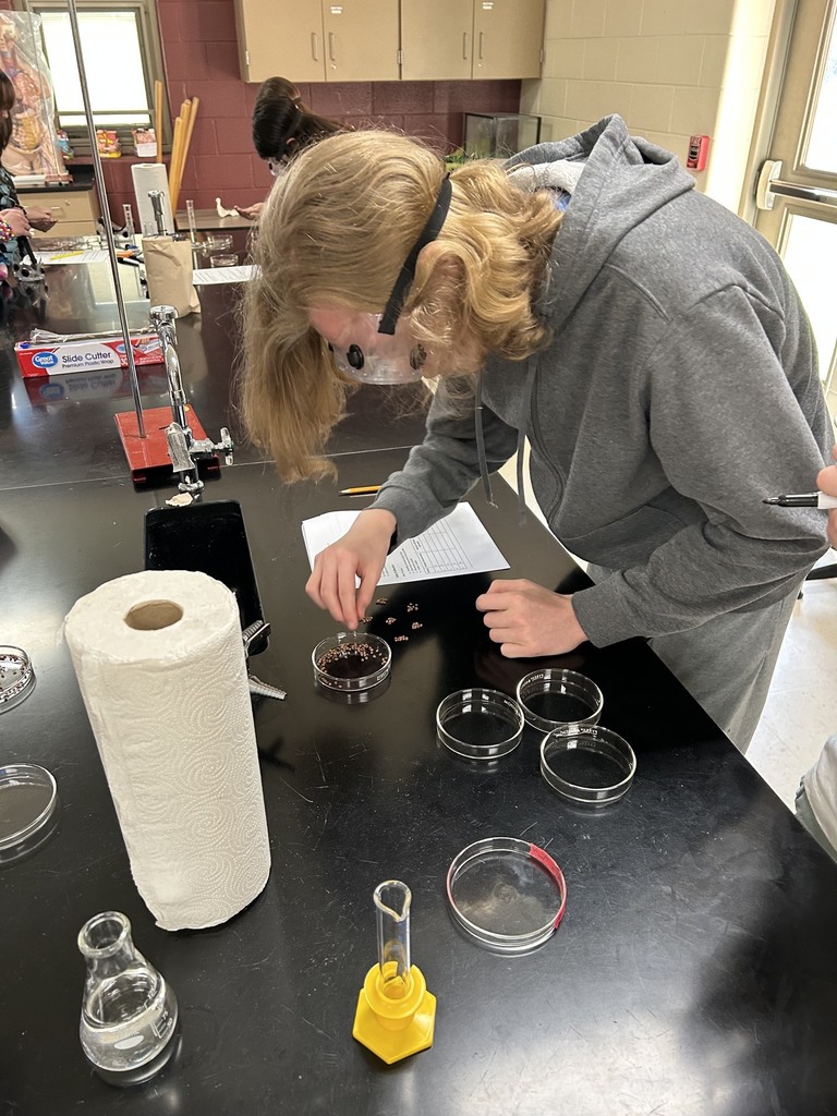 Acid Rain Lab
