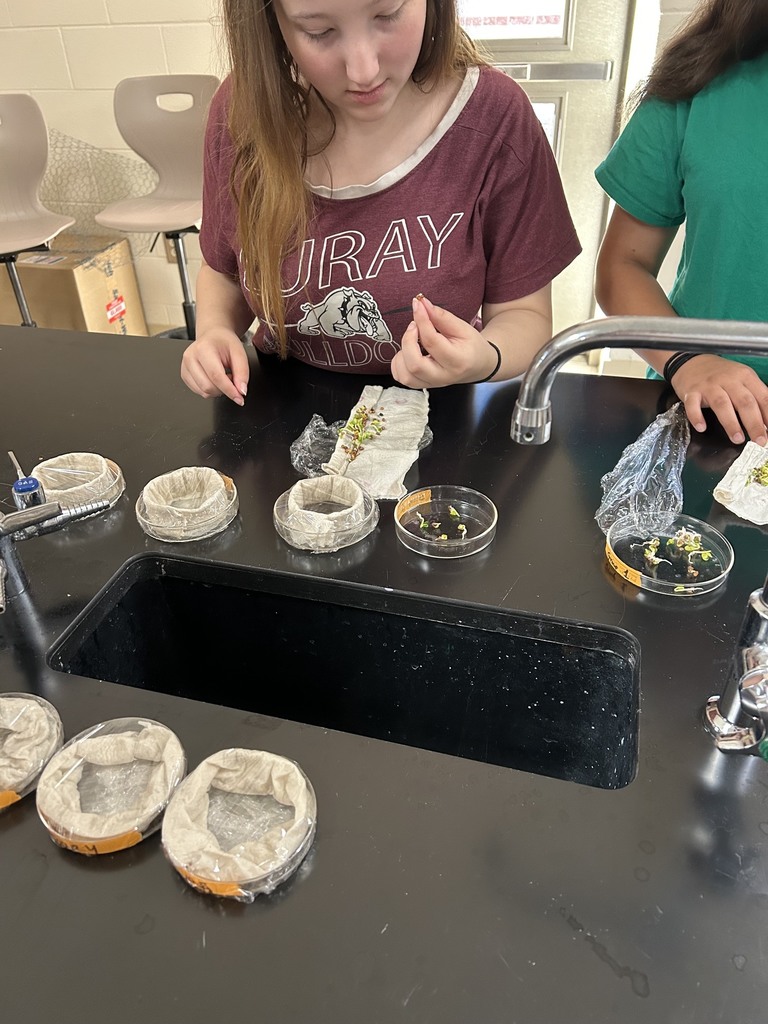 Acid Rain Lab