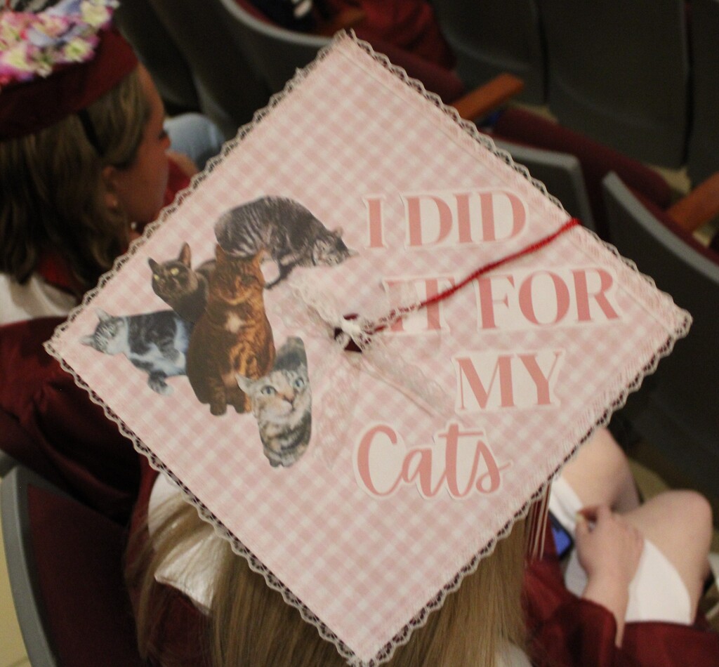 Senior Caps Decorated