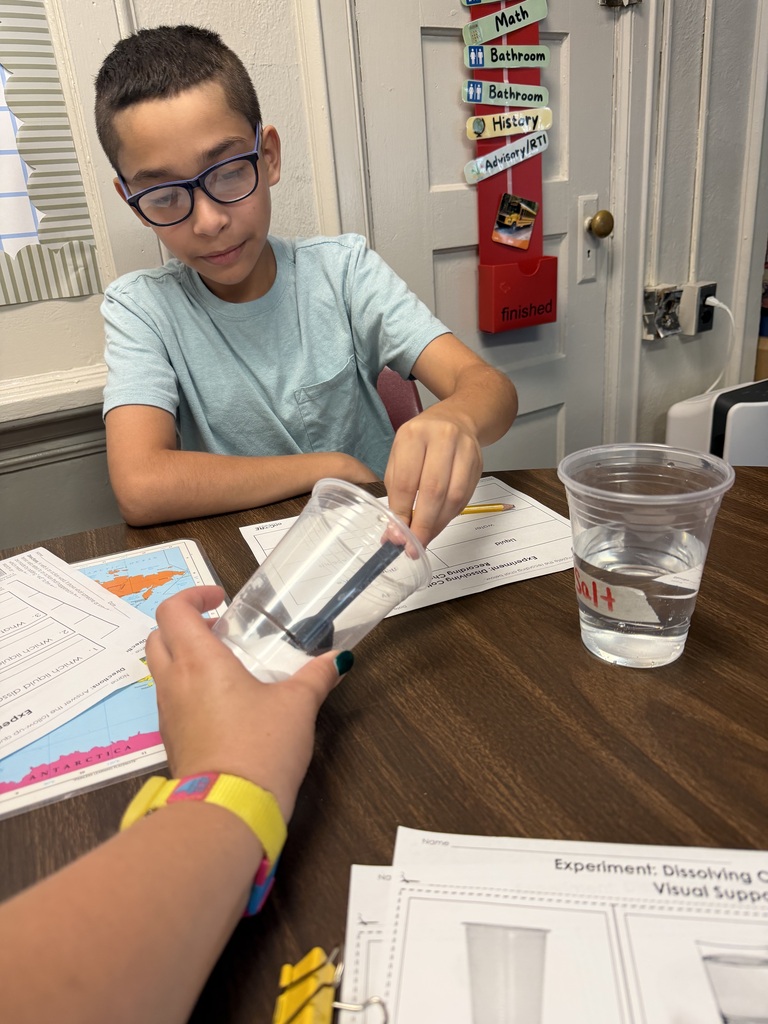 A young scientist at work