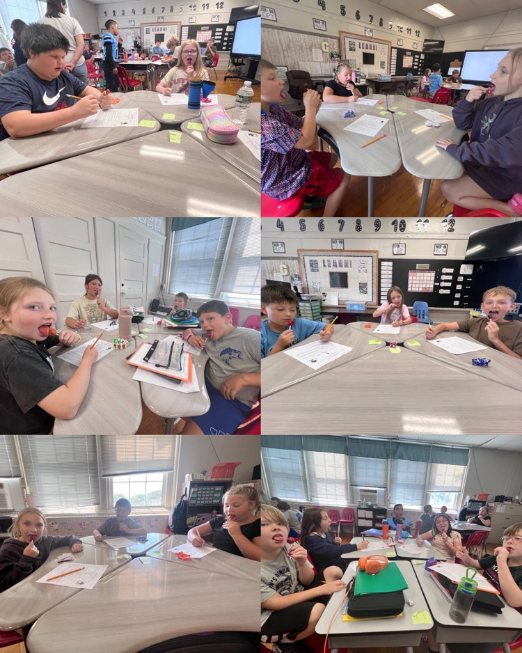   2. Students work in groups, licking Tootsie Pops and documenting their observations on worksheets.
