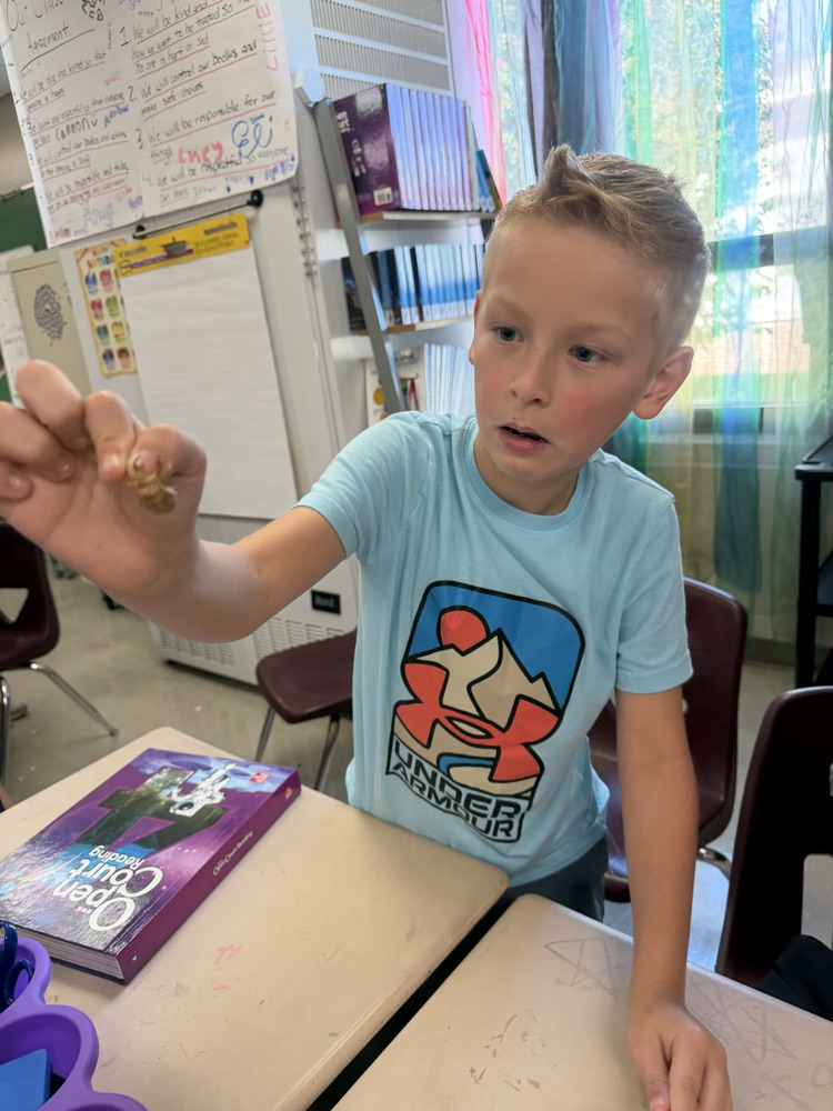 boy holding cicada