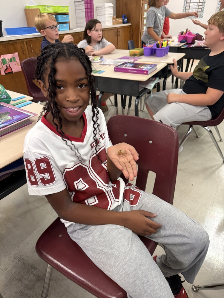 Fourth grade girl holding a cicada show