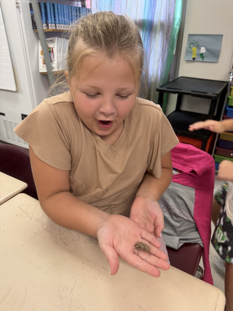 Excited child holding a cicada shell