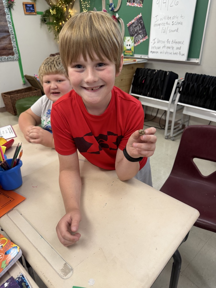 Fourth grader