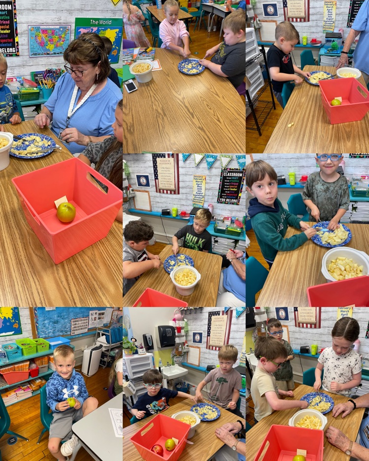 A collage of pictures of first grade students learning how to make applesauce with help from their teacher.