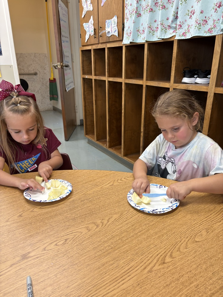 applesauce making