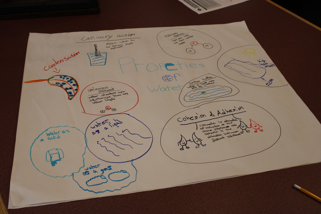 Showing understanding of the properties of water by making concept map posters in Miss Cawthorn's Biology class. 