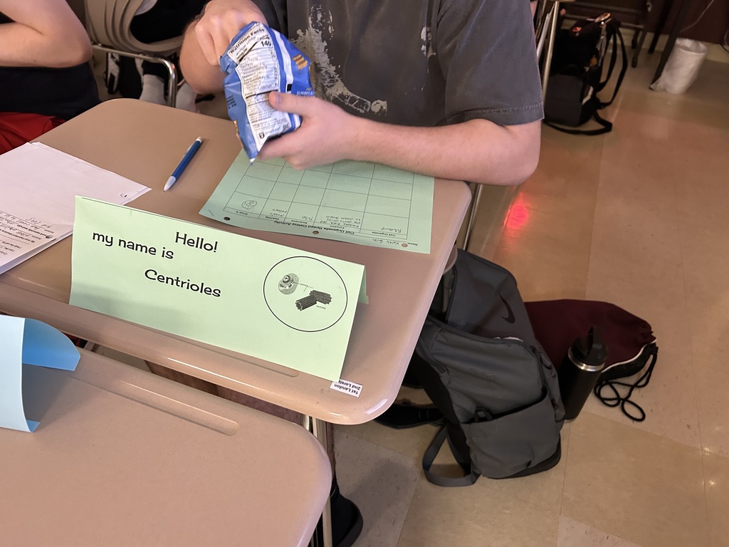 Honors Biology Students conducting activity with cell organelles