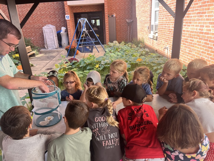 Students watch as an adult opens a mesh butterfly habitat.
