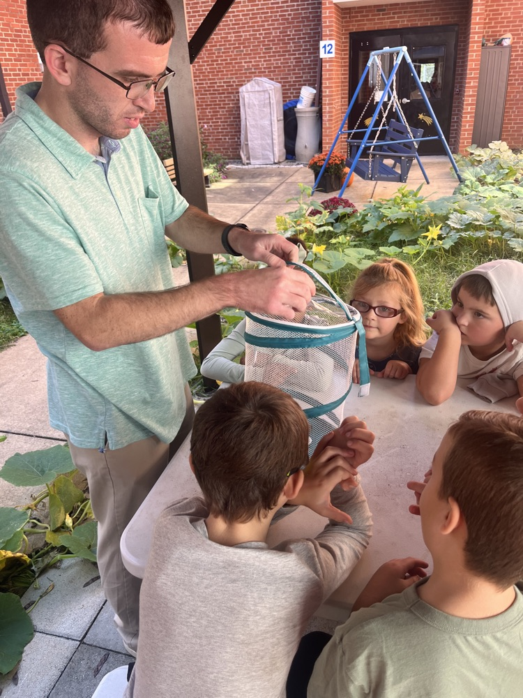 A group of students gathers around a butterfly habitat outside.