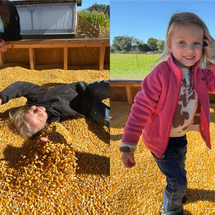 kids playing in dry corn 