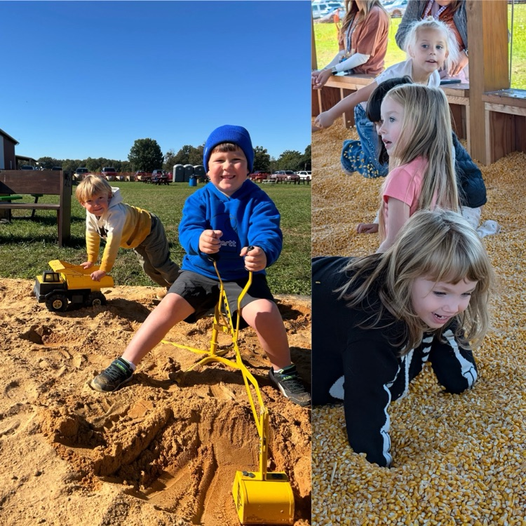 kids playing at fun farm 