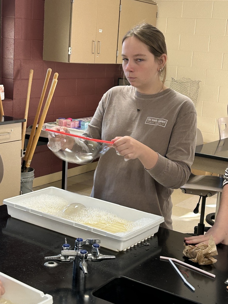 Bubble cell membrane Lab in Biology