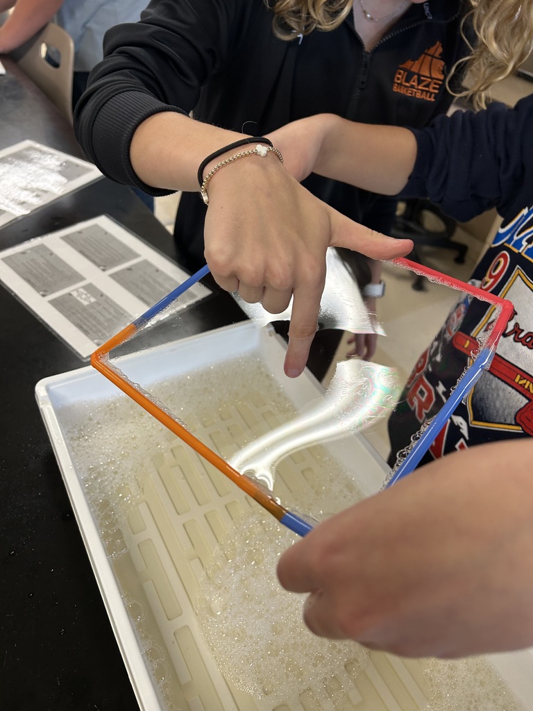 Bubble cell membrane Lab in Biology