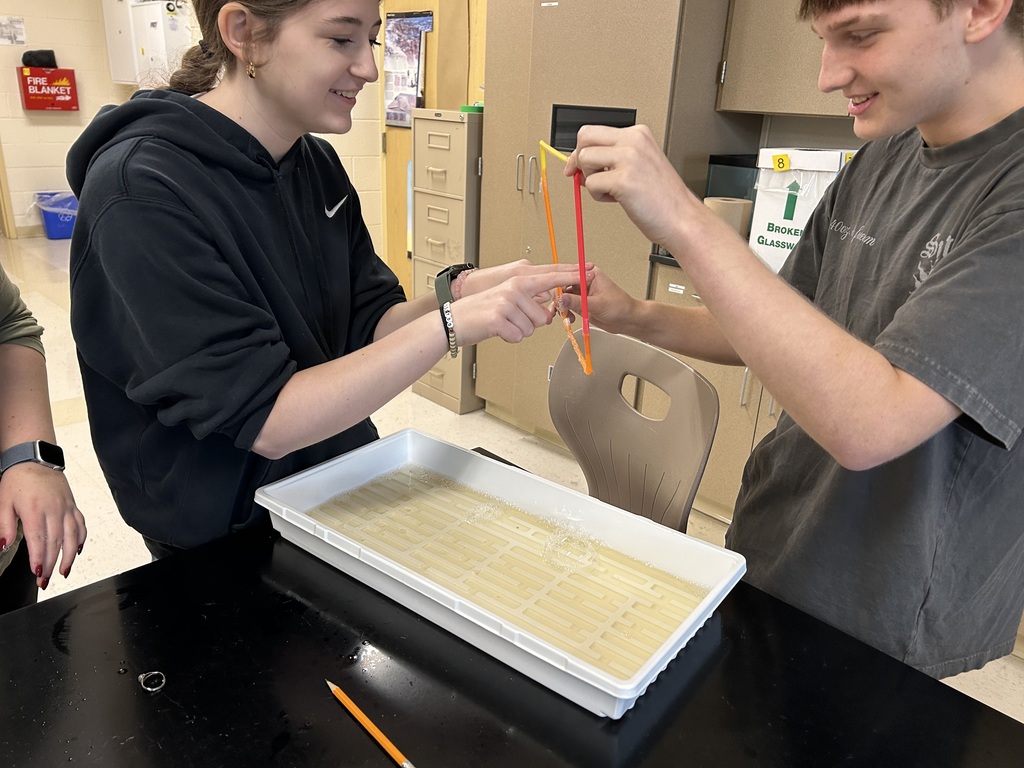 Bubble cell membrane Lab in Biology