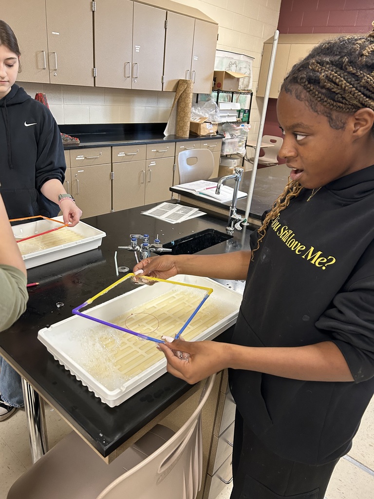 Bubble cell membrane Lab in Biology