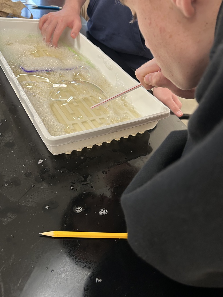 Bubble cell membrane Lab in Biology