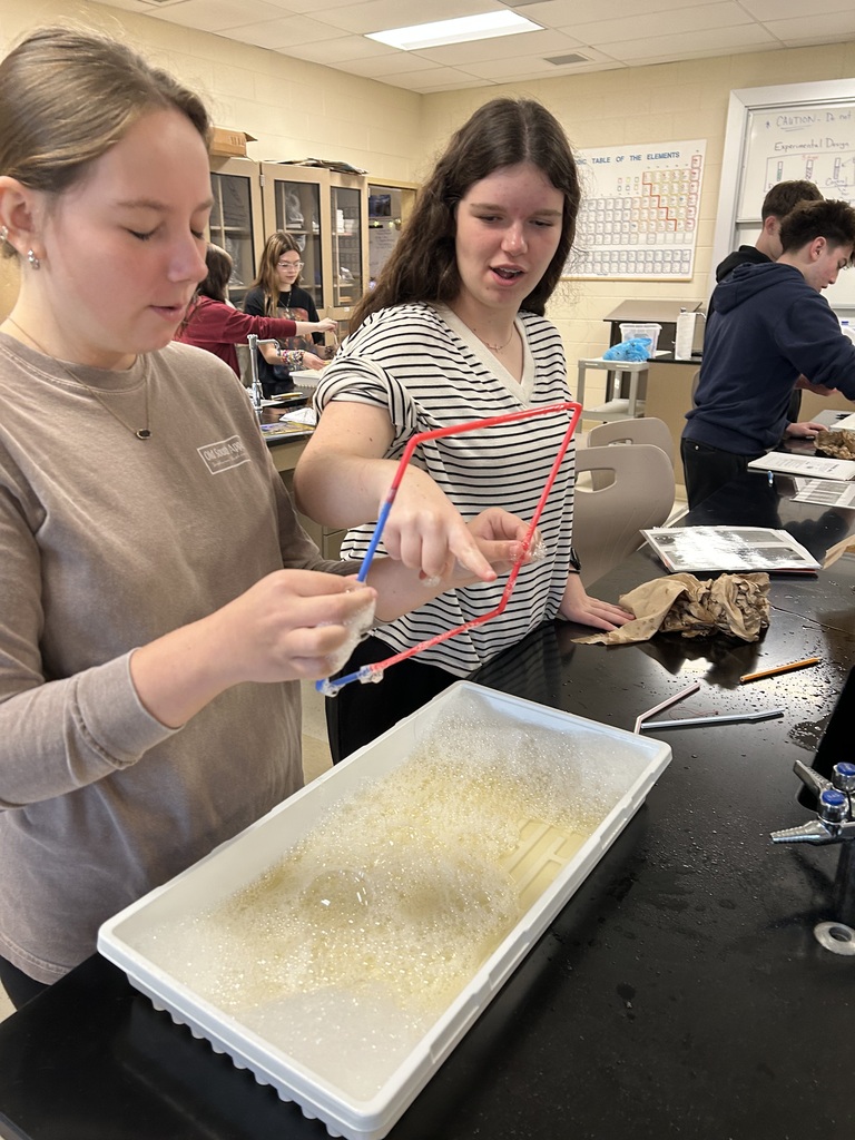 Bubble cell membrane Lab in Biology