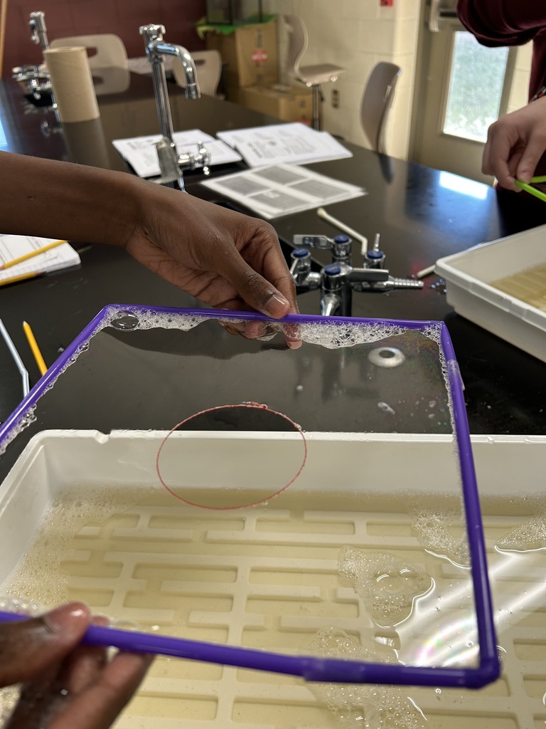 Bubble cell membrane Lab in Biology