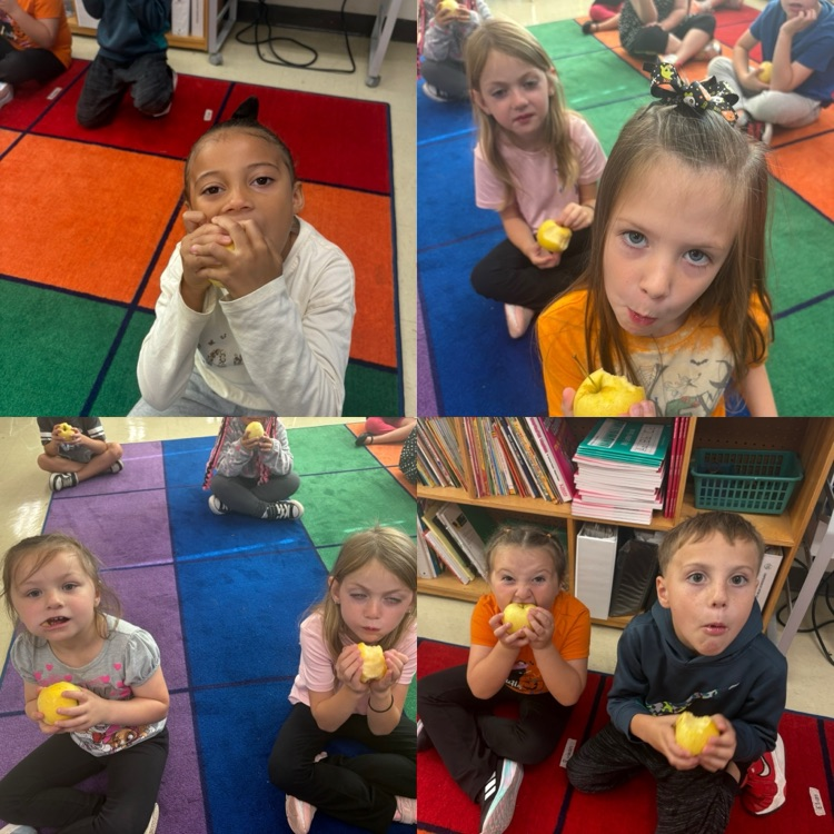 crunching apples