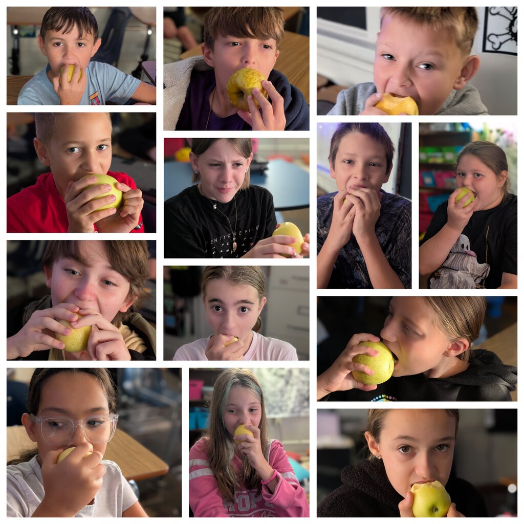 An apple a day ....
