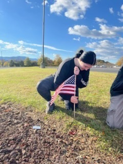 Field of Flags