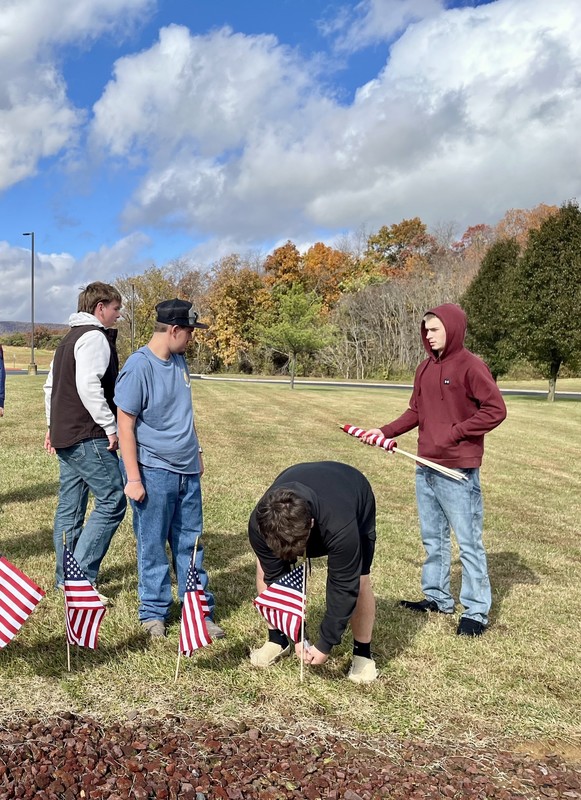 Field of Flags