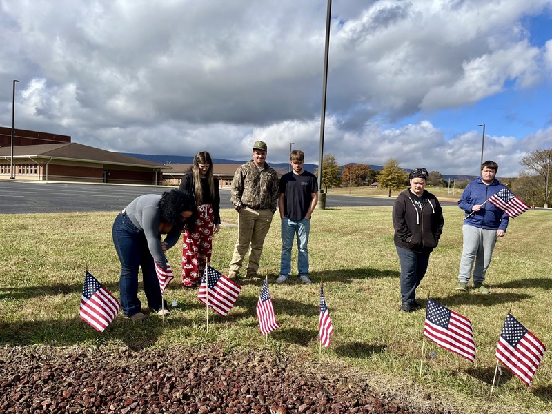 Field of Flags